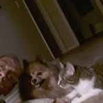 Mark Meade - @rosetoddtravis - Instagram