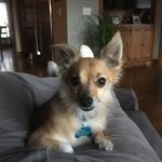 Mark Thomas - @mark.melander - Instagram