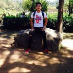 Mark Melendez - @melendez5258 - Instagram