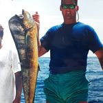 Mark Merrell - @draintheswamp1 - Instagram