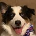 Mark Messinger - Facebook