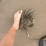 Mark Messner - @coach_messner.mark - Instagram