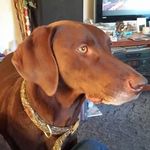 Mark Metheny - @mark.metheny.7 - Instagram