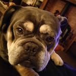 Mark Middleton - @markmiddleton110 - Instagram