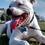 Mark Middleton - @mmiddleton1962 - Instagram