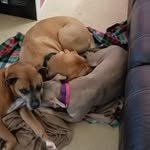 Mark Midgett - @mmidgett35 - Instagram