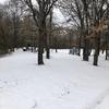 markmidkiff935 - @markmidkiff935 - TikTok
