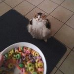 Mieszko Markanicz - @mieszko.mark - Instagram