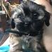 Mark Miller Miller Miller - Facebook