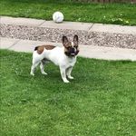 Mark Milligan - @markm2017 - Instagram