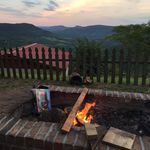Mark Milligan - @mjomilligan - Instagram