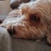 Mark Mills - Facebook