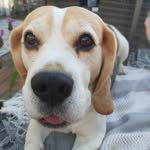 Mark Mills - @mark_mills1970 - Instagram