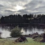 Mark Milner - @mark.milner.794 - Instagram