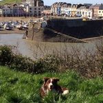 Mark Milner - @markmilner327 - Instagram
