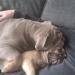 Mark Milner - @markm2105 - Instagram