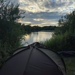 Mark Minns - @minnsycarp - Instagram