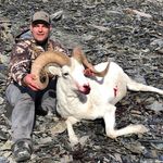 Mark Mitchell - @sunset_mountain_taxidermy - Instagram