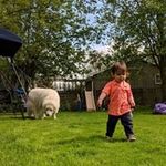 Mark Moitoso - @markembro - Instagram