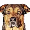 Mark Moll - @mark.moll1 - TikTok