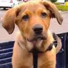Mark Moll - @mark.moll6 - TikTok