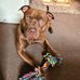 Mark Mooney - Facebook