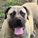 Mark Moore - @memphismadeboerboels - Instagram