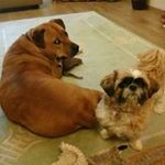 Mark Moorman - @mrkmoorman - Instagram