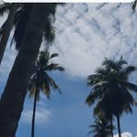 Mark Morada - @mamoi_731 - Instagram