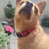 moran - @markmoran - TikTok