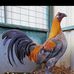 Mark Morin - Facebook