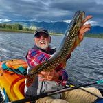 Mark Morin - @morinhealth - Instagram
