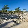 markmorley - @markmorley - TikTok