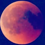 mark magnus mortensen - @markmo9885 - Instagram
