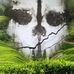 Mark Mortimore - Facebook