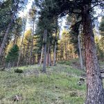 Mark Moser - @markmoser10 - Instagram