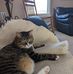 Mark Moser - Facebook
