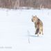 Mark Moser - Facebook