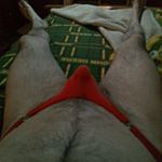 Mark Mosher - @markmosher1 - Instagram