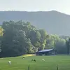 markmosher645 - @markmosher645 - TikTok