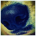 Mark Mosko - @mark.mosko - Instagram