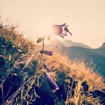 Mountain_marketing - @mountain_marketing___ - Instagram