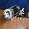 Mark Mousseau - @mark.mousseau4 - TikTok