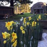 Mark Mowrey - @mowmow72 - Instagram