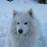 Mark Mcilmoyle - @mcilmoylemark - Instagram