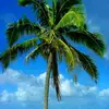 markmuckenfuss - @mark.muckenfuss - TikTok
