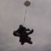 Mark Mulhern - Facebook