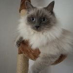 Mark Müller - @mark.muller.165033 - Instagram