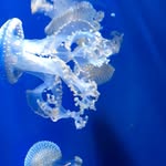 Mark Müller - @markmuller7312 - Instagram