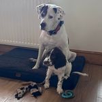 Mark Munro - @mark.munro.585 - Instagram